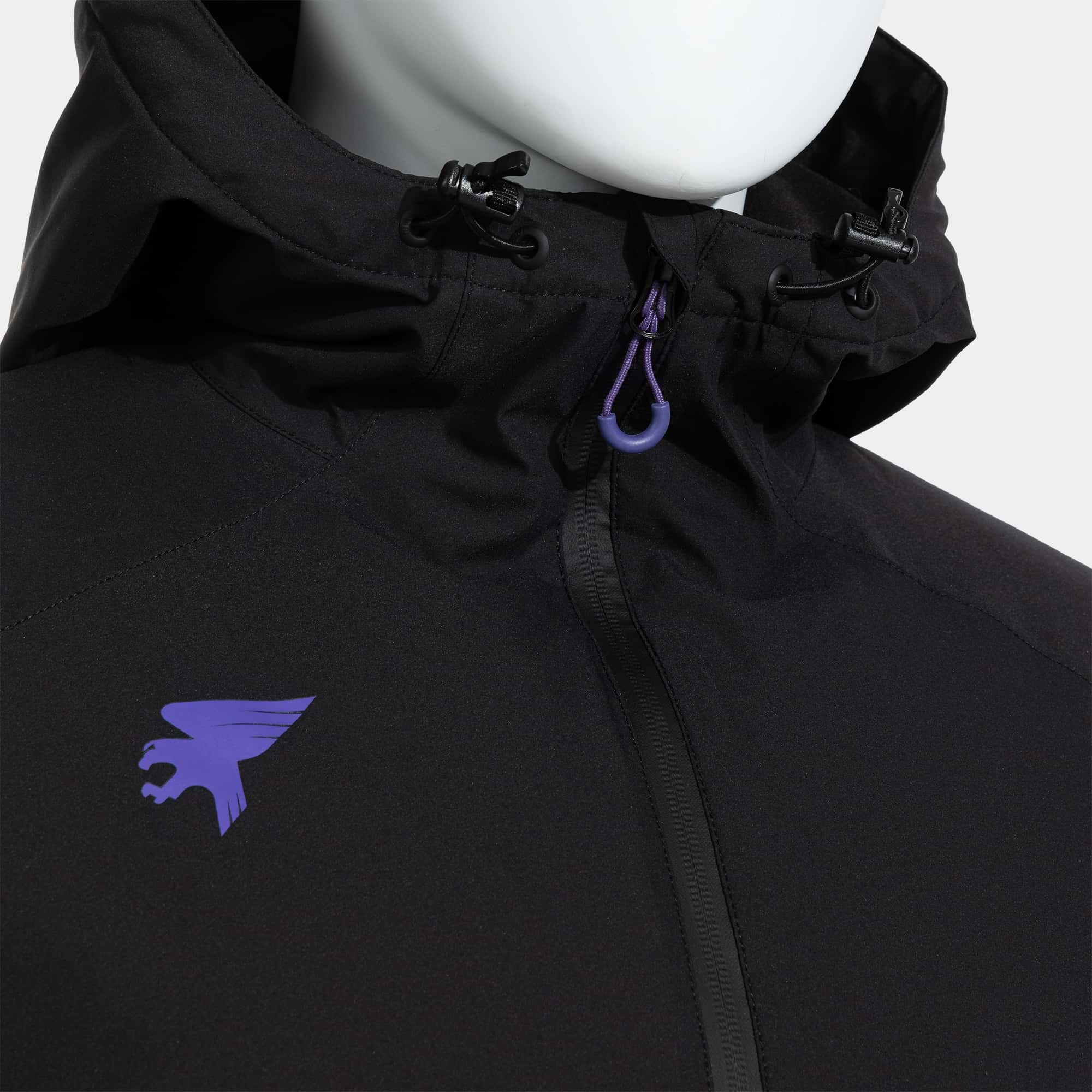Anorak man Alpes