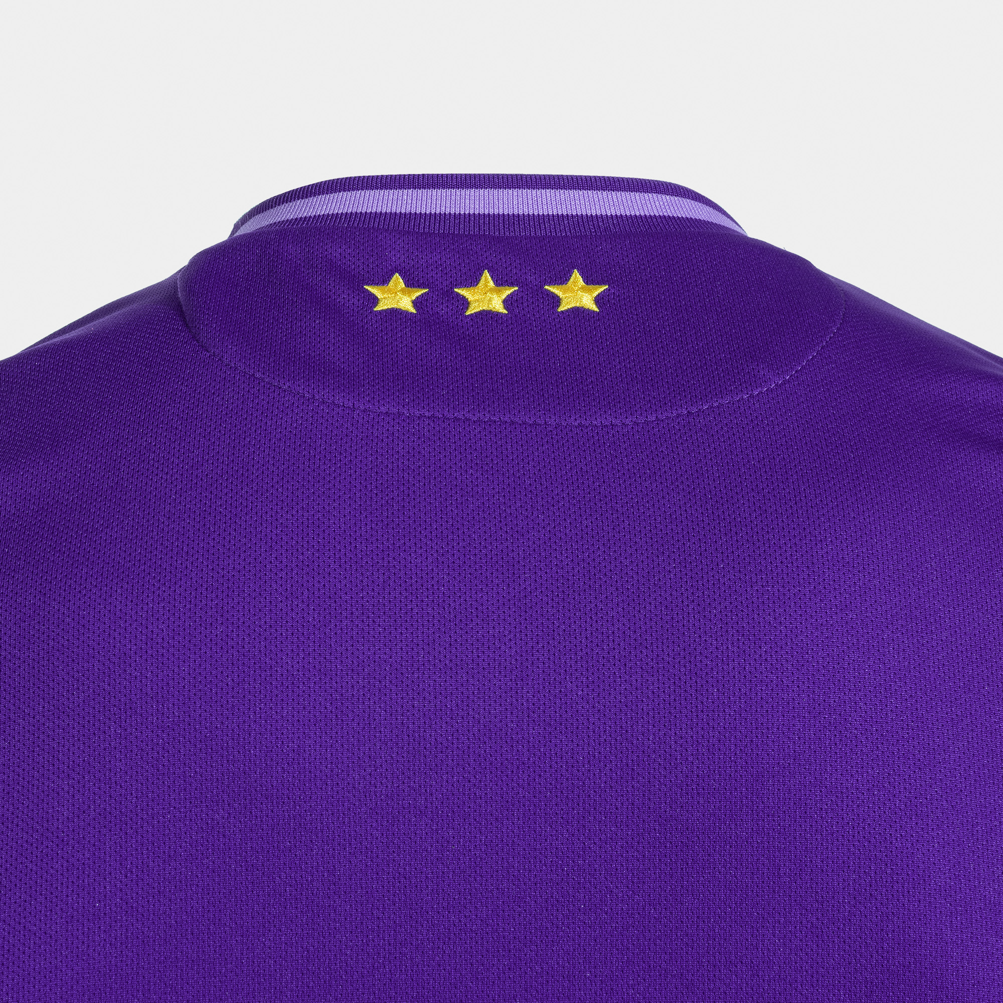 RSCA Thuisshirt 2024/2025