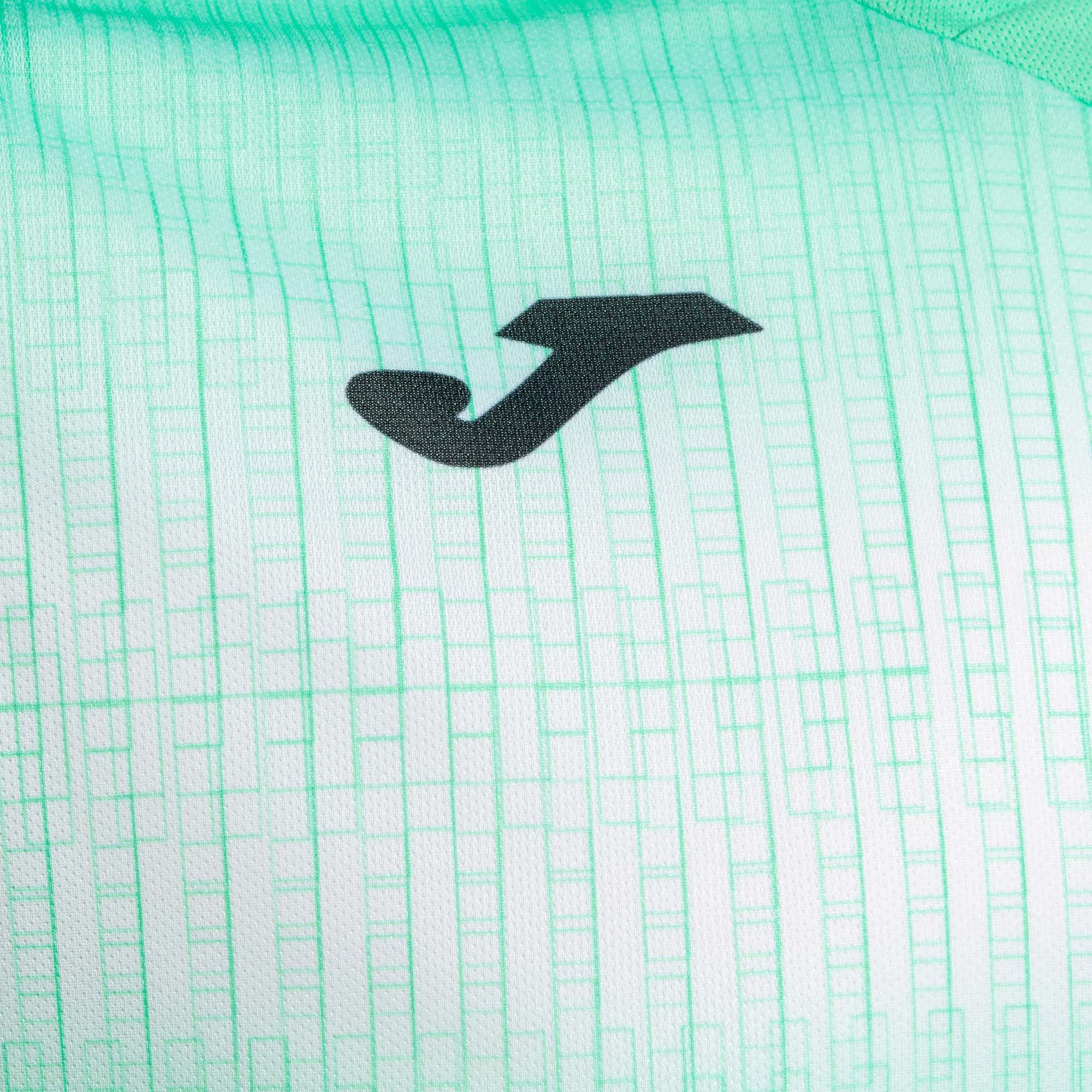 T-Shirt short sleeve man Tiger V 