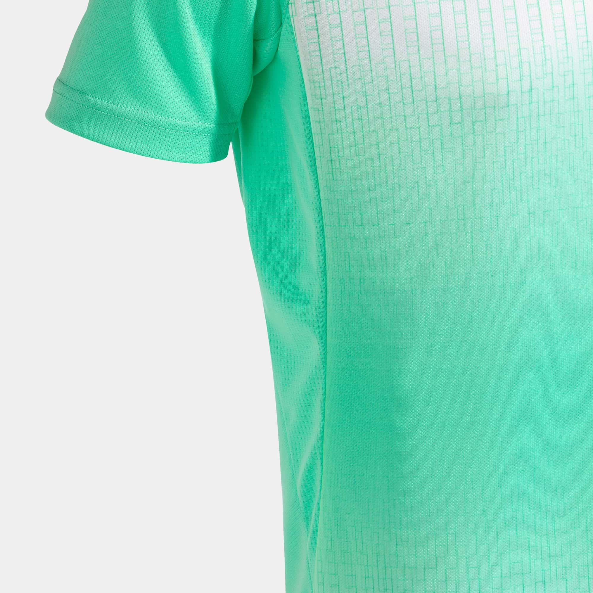 T-Shirt short sleeve man Tiger V 