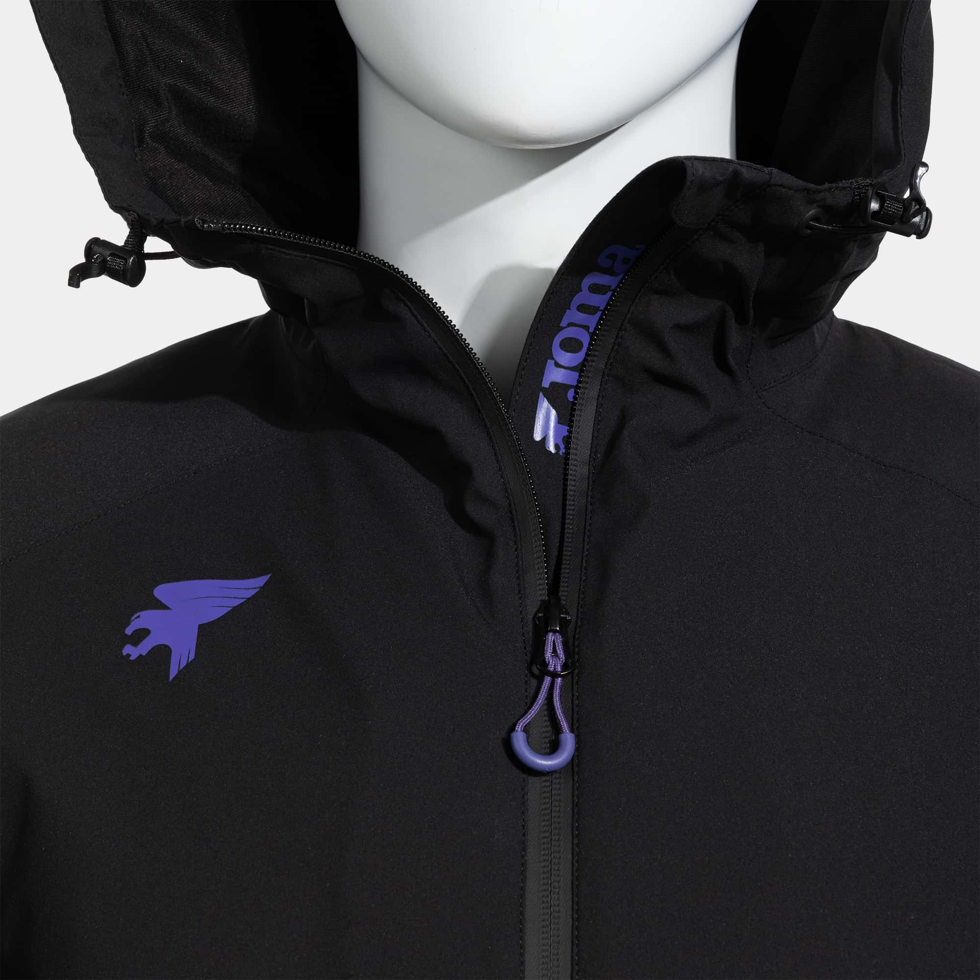 Anorak man Alpes